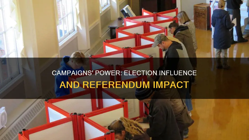 do political campaigns matter campaign effects in elections and referendums