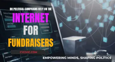Political Fundraising: Internet as a Powerful Campaign Tool