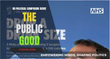 Political Campaigns: Serving the Public Good?