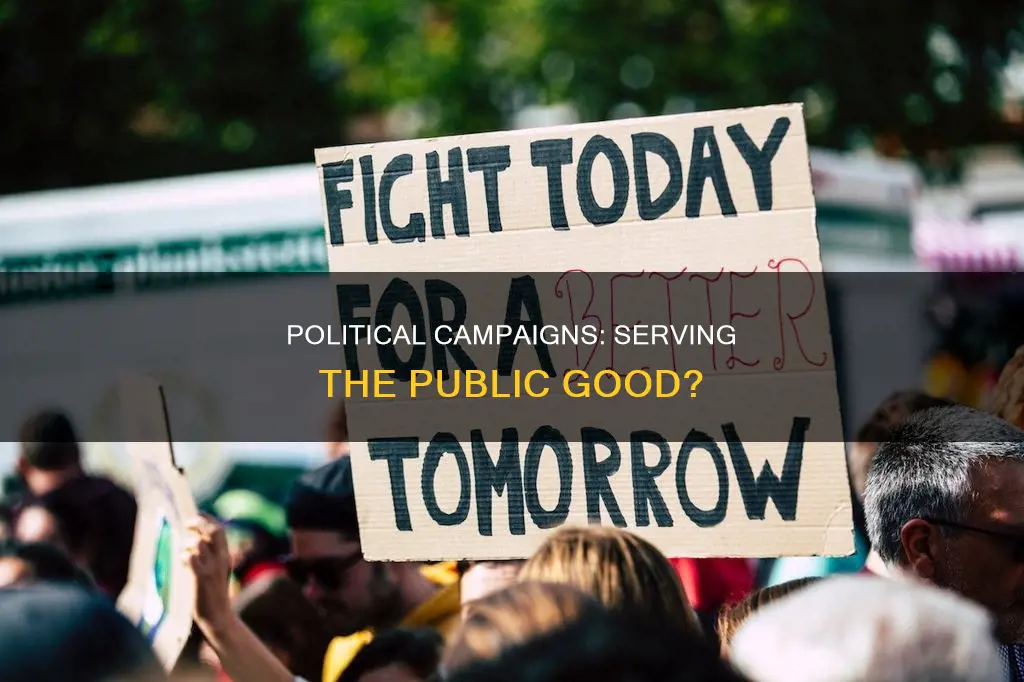 do political campaigns serve the public good