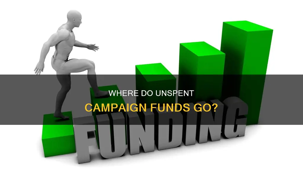do political candidates get to keep unused campaign funds
