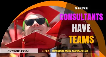 Do Political Consultants Work Solo or With Teams?