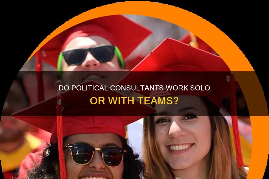 do political consultants have teams