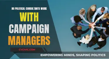 Consultants and Campaign Managers: Who Does What?
