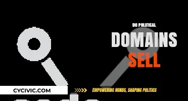 Do Political Domains Sell? Exploring Market Demand and Value Trends