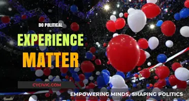 Does Political Experience Matter in Shaping Effective Leadership?