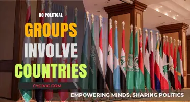 How Political Groups Influence International Relations and Country Involvement