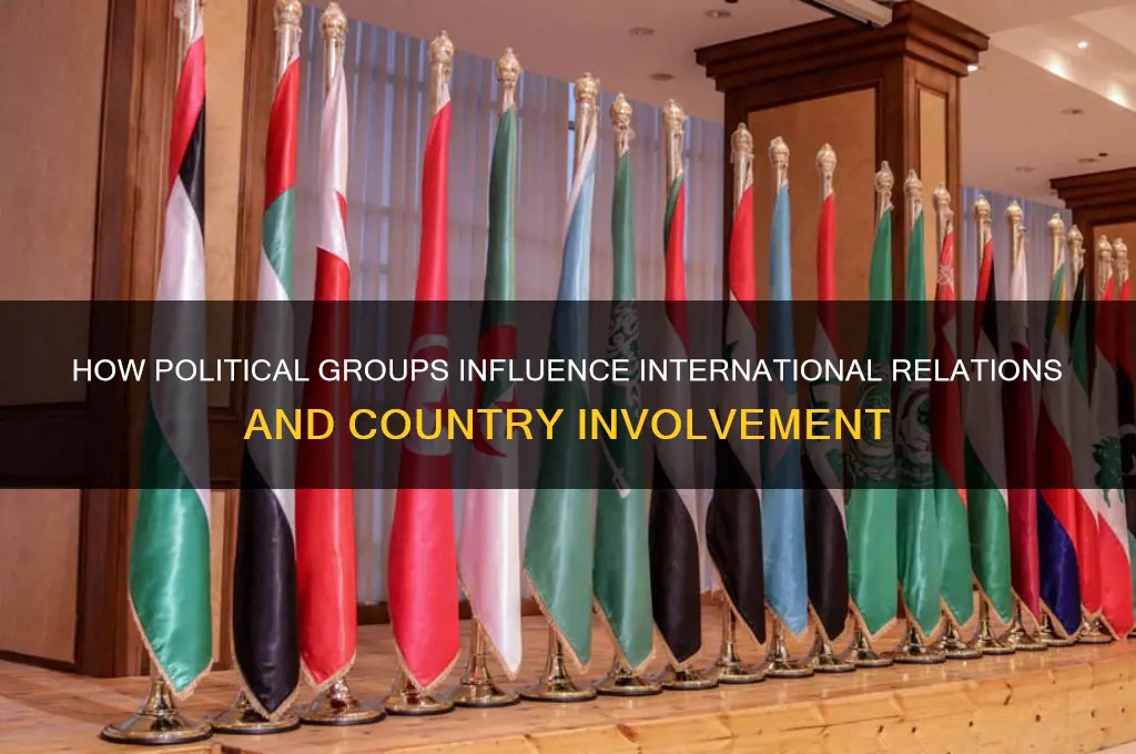 do political groups involve countries