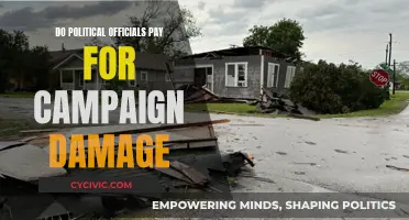 Who Pays for Campaign Damage? Political Officials' Accountability