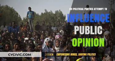 How Political Parties Shape and Influence Public Opinion Strategies