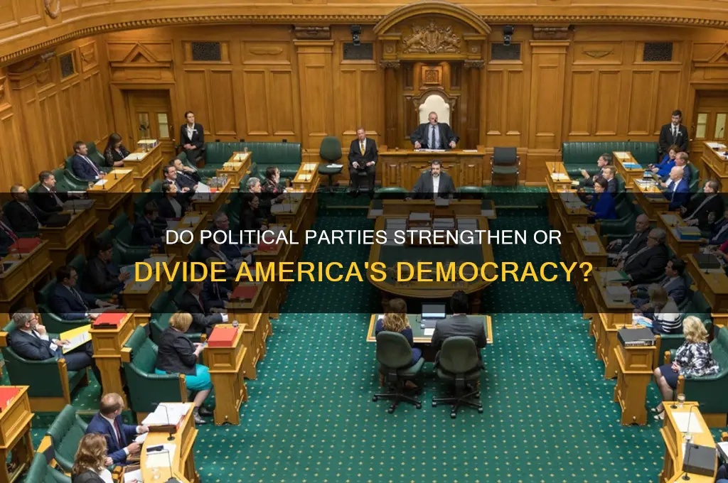 do political parties benefit america