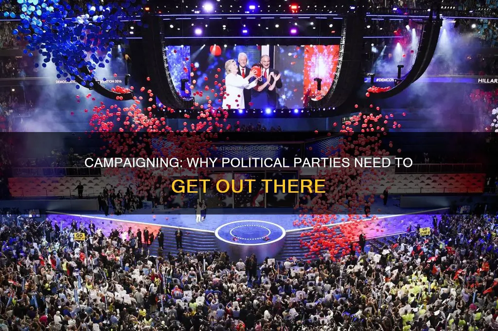 do political parties campaign