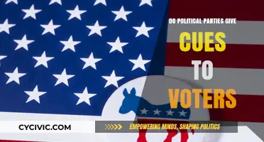 How Political Parties Influence Voter Decisions Through Strategic Cues