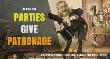 Do Political Parties Reward Loyalty with Patronage? A Critical Analysis