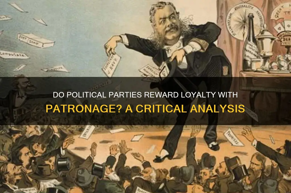 do political parties give patronage