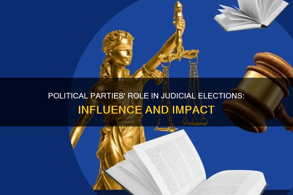 do political parties help judges get elected