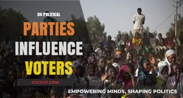 How Political Parties Shape Voter Decisions and Public Opinion