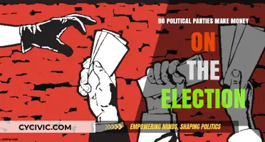 How Political Parties Profit from Elections: Funding and Financial Strategies