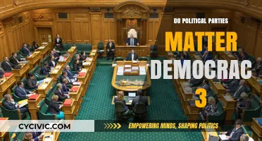 Do Political Parties Strengthen or Weaken Democracy 3?