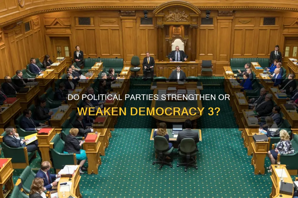 do political parties matter democracy 3
