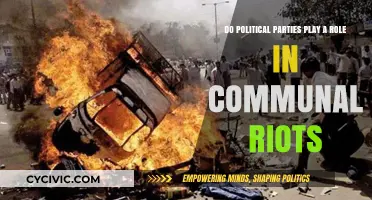 Political Parties and Communal Riots: Unraveling Their Complex Role