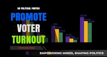 Do Political Parties Boost Voter Turnout? Exploring the Impact