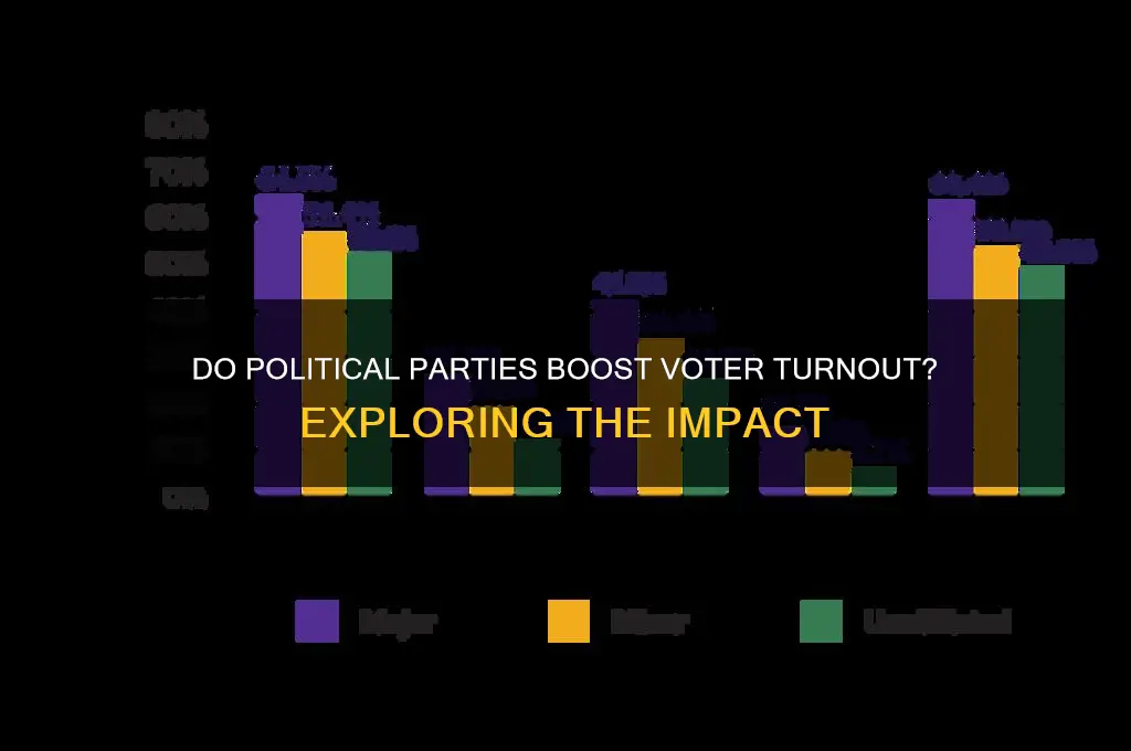 do political parties promote voter turnout