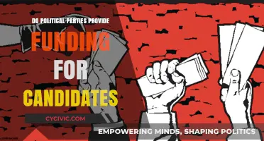 How Political Parties Financially Support Their Candidates: A Comprehensive Overview