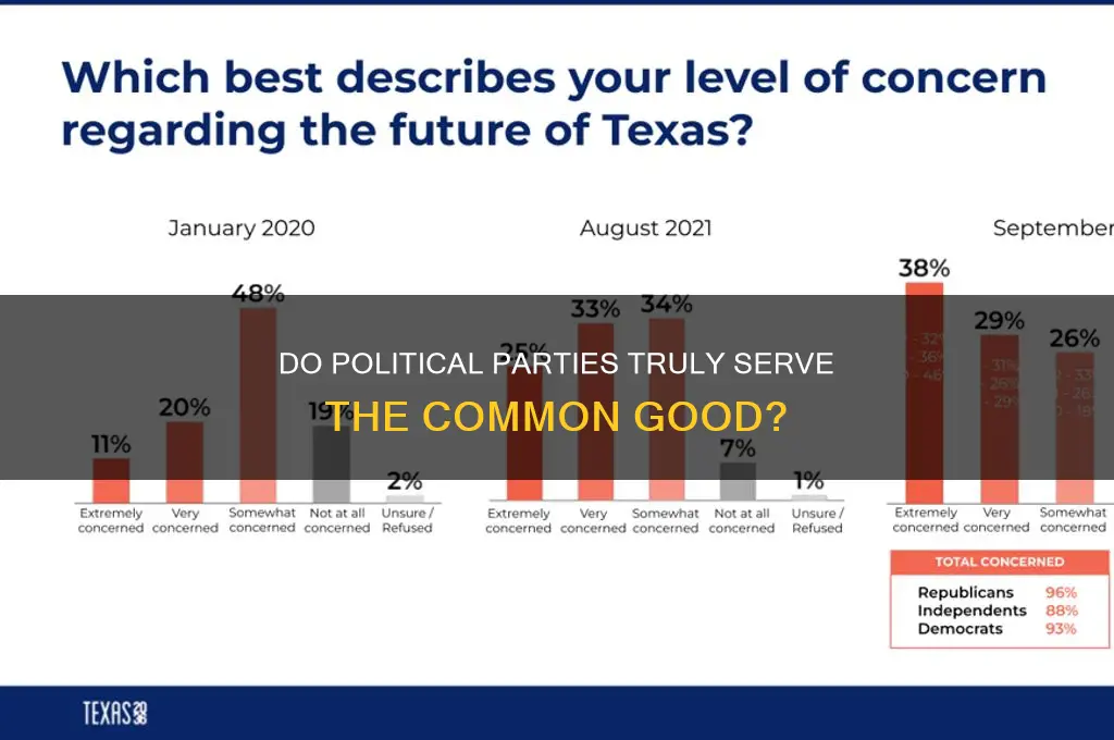 do political parties serve the common good