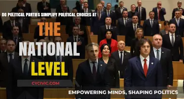 Do Political Parties Streamline National Political Choices? A Critical Analysis