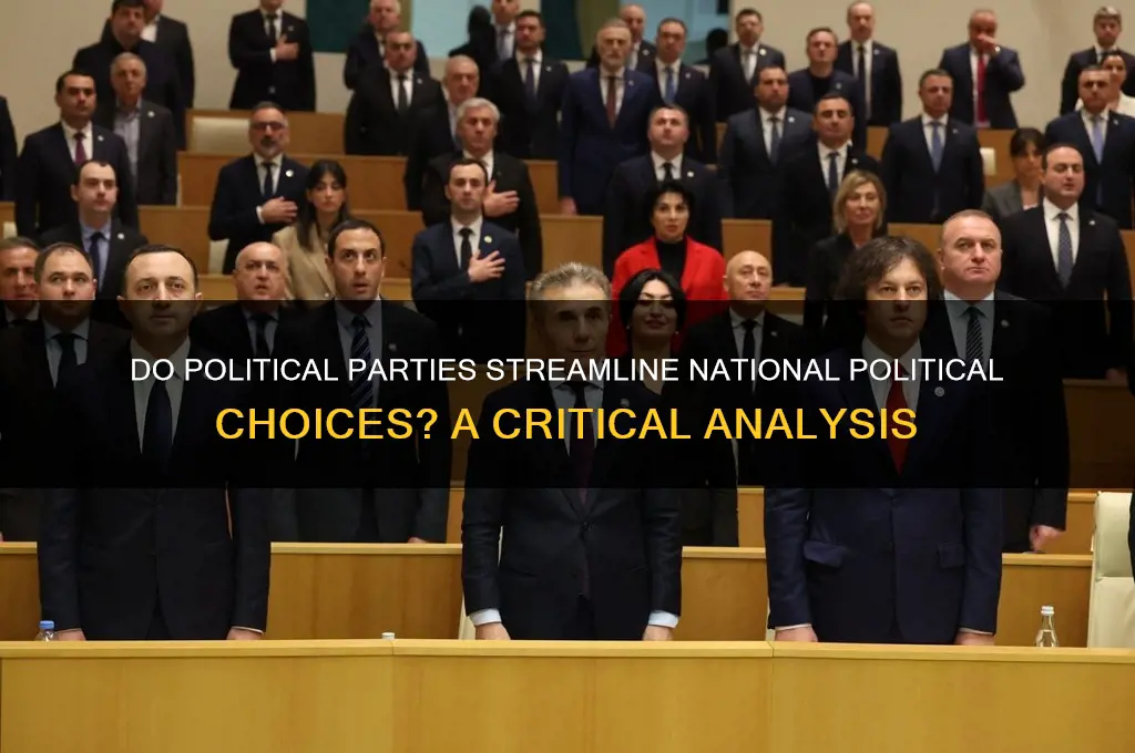 do political parties simplify political choices at the national level