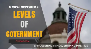 Do Political Parties Effectively Function Across All Government Levels?