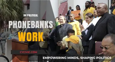 Do Political Phonebanks Work? Analyzing Their Impact on Voter Engagement