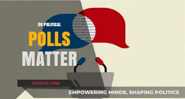 Do Political Polls Matter? Analyzing Their Impact on Elections and Public Opinion