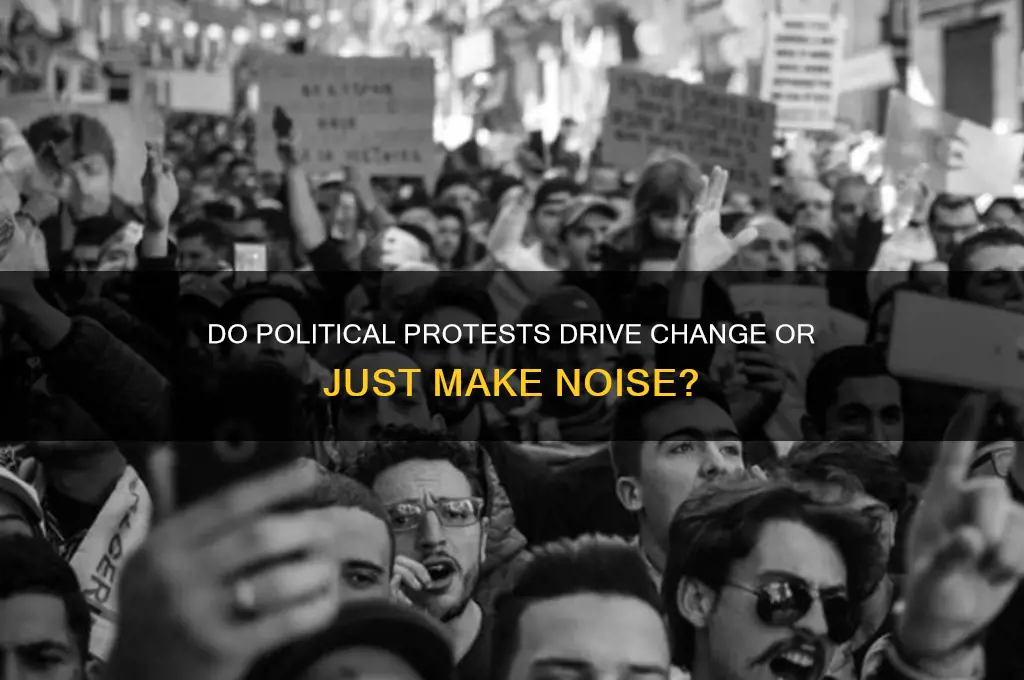 do political protests matter