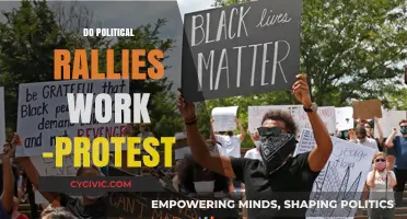 Do Political Rallies Drive Change or Just Noise? Protest Impact Explored