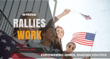 Do Political Rallies Work? Analyzing Their Impact on Voter Behavior