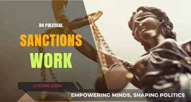 Do Political Sanctions Work? Analyzing Effectiveness, Impact, and Global Consequences