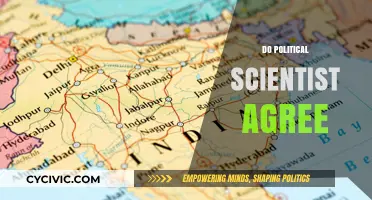 Do Political Scientists Agree? Exploring Consensus in Political Science Research