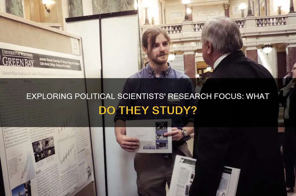 do political scientists study