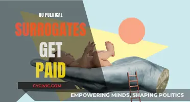 Exploring the Economics of Political Surrogacy: Do They Get Paid?