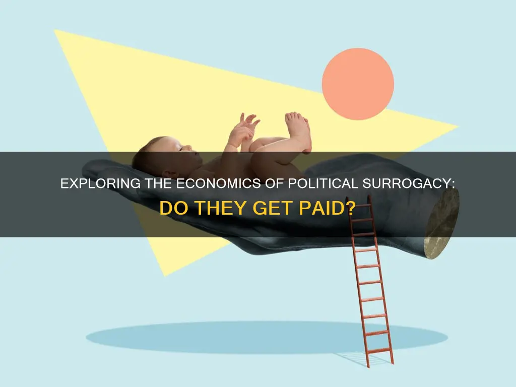 do political surrogates get paid