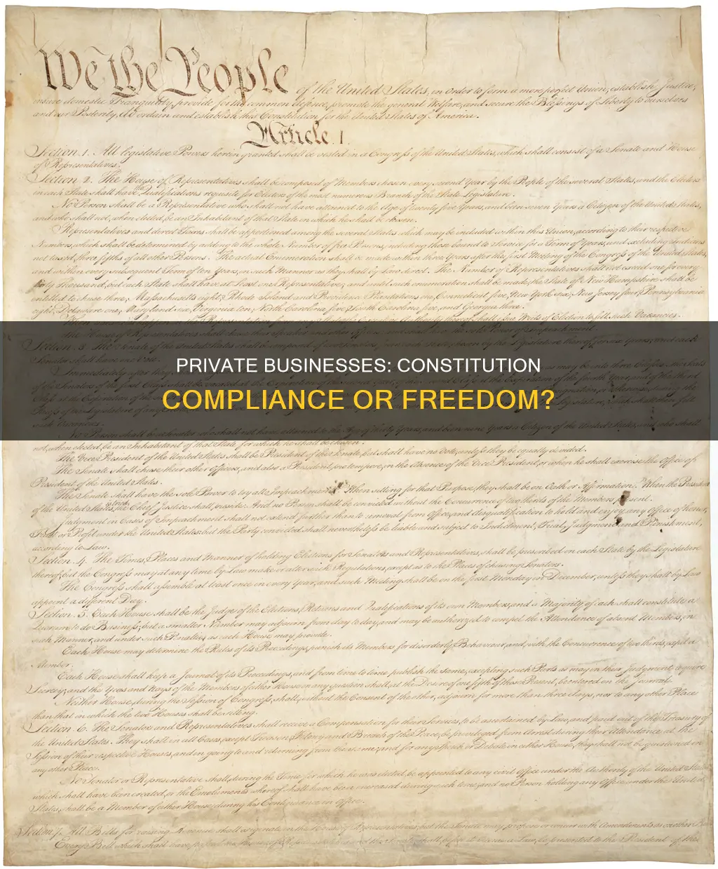 do private businessed have to follow the constitution