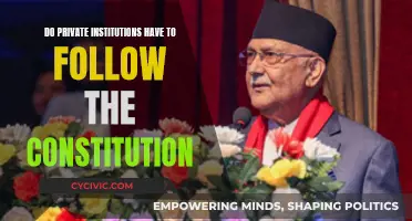 Private Institutions: Bound by the Constitution?