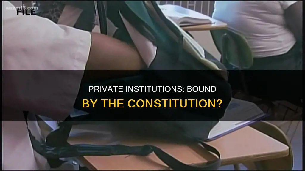 do private institutions have to follow the constitution