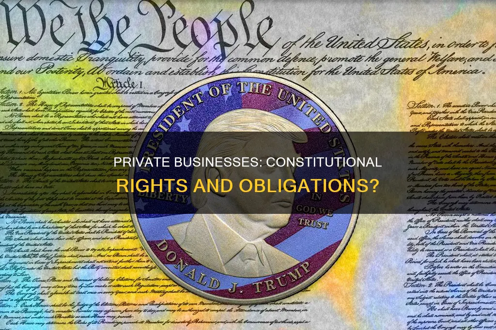 do privately owned businesses have to respect the constitution