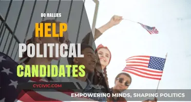 Do Rallies Boost Political Candidates' Success? A Critical Analysis