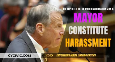 False Accusations by Mayors: Harassment or Free Speech?