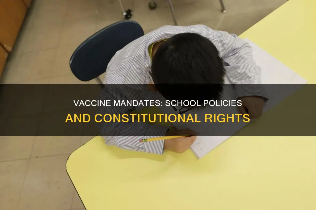 do schools requiring vaccines go against the constitution