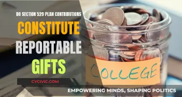Understanding 529 Plan Gifts: Report or Not?
